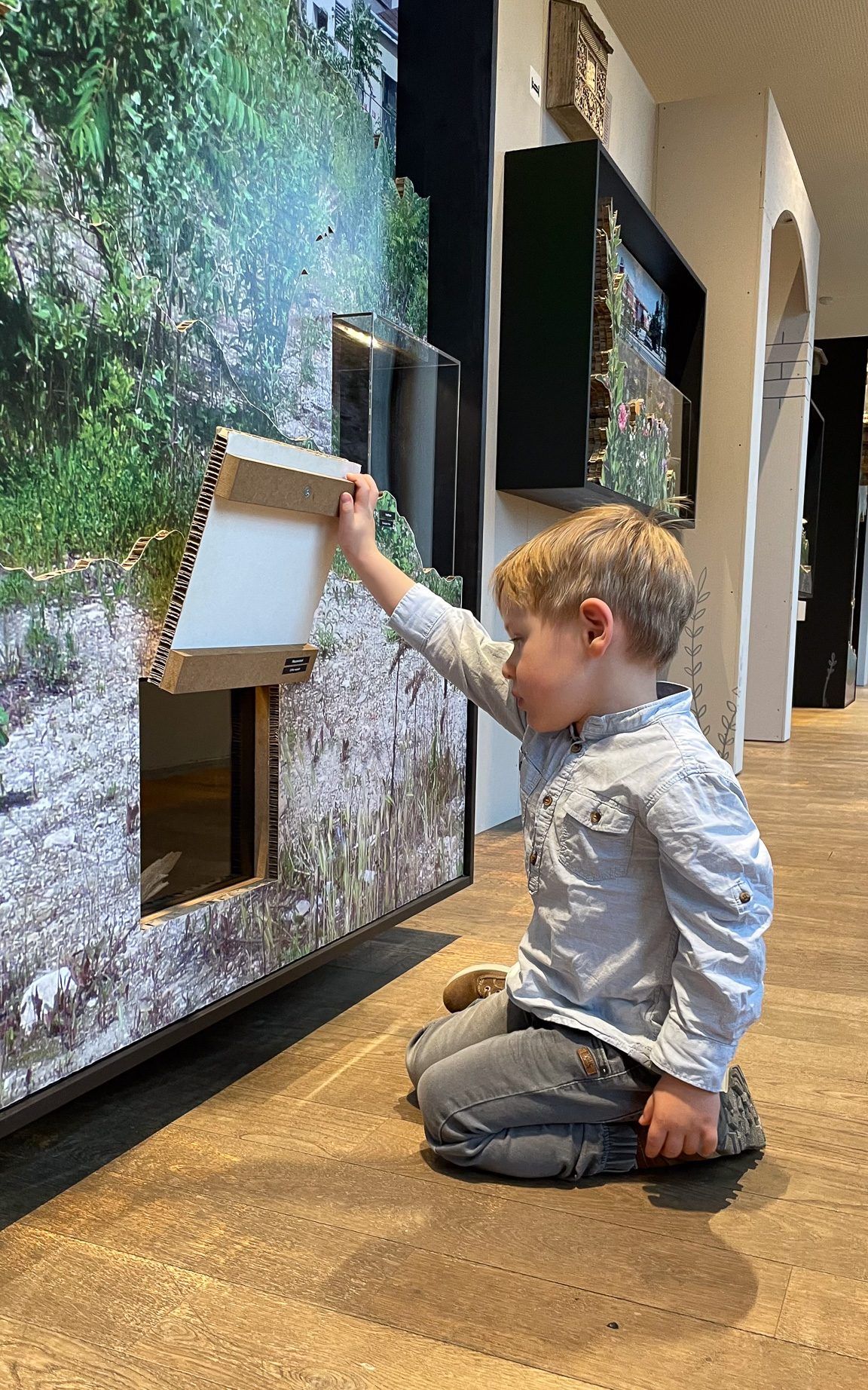 Sonderausstellung "Wildnis Stadt"