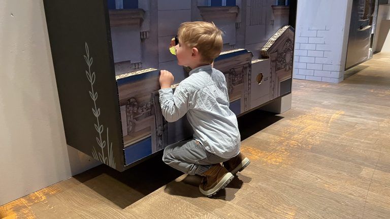 Sonderausstellung "Wildnis Stadt"