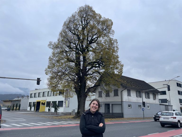 Helena Schütte, Rettet Lala die Linde