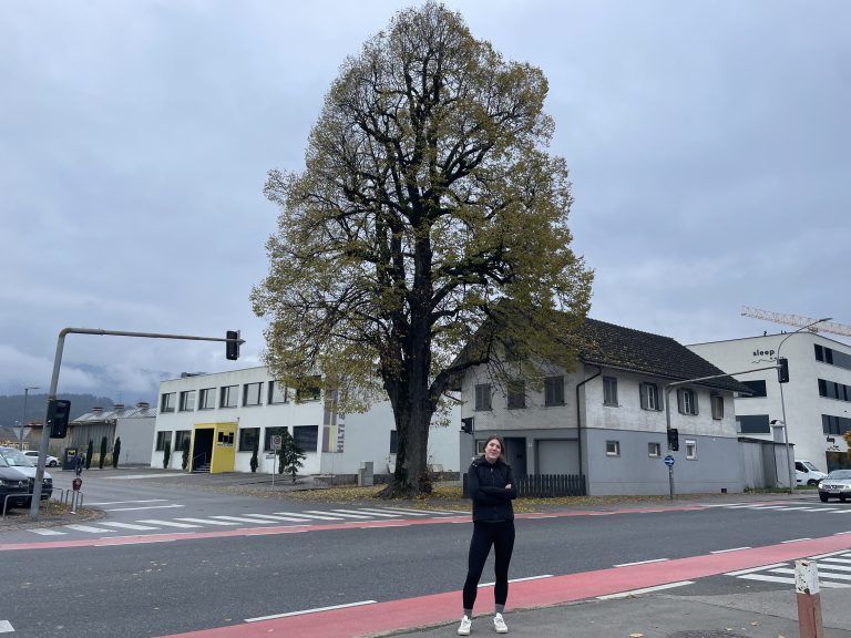 Helena Schütte, Rettet Lala die Linde