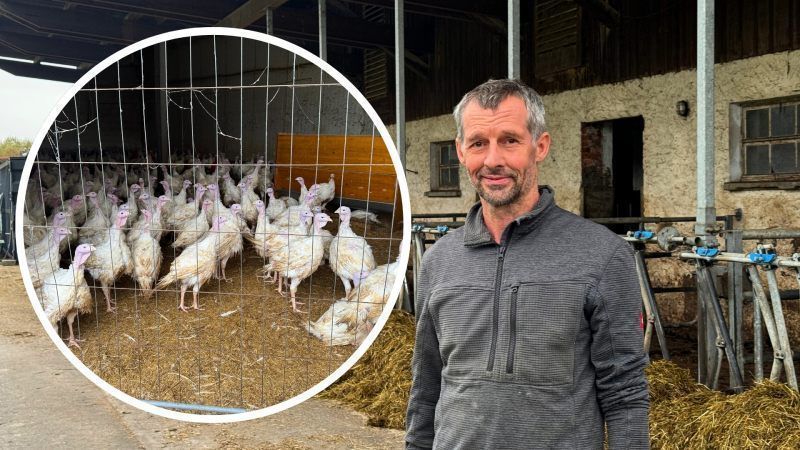 Vogelgrippealarm: So bereiten sich die Vorarlberger Züchter vor