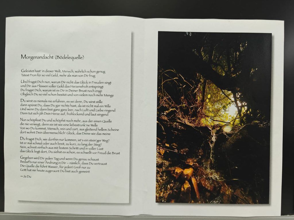 Mit Poesie durch die Pandemie