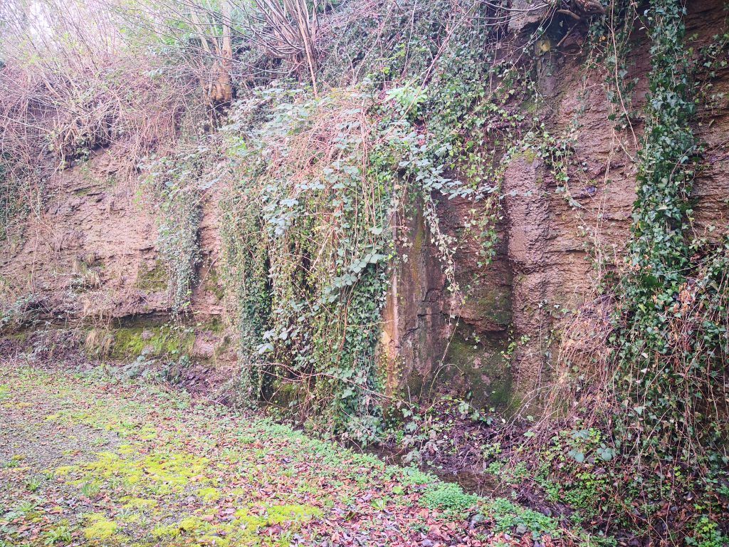 Gut versteckt hinter Efeuranken