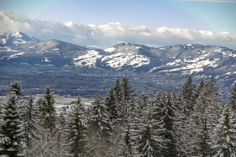 Wetter Feature Bödele Schnee Schneeräumung Strasse Schneefall Wintereinbruch Winter