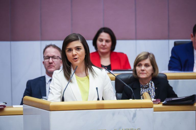 Rankweiler Grundstück schafft es in den Landtag