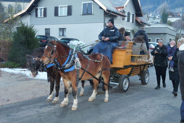 Die Kutschenfahrten kamen bei Groß und Klein gut an. - Advent im Park stimmte auf die Weihnachtszeit ein - Advent im Park