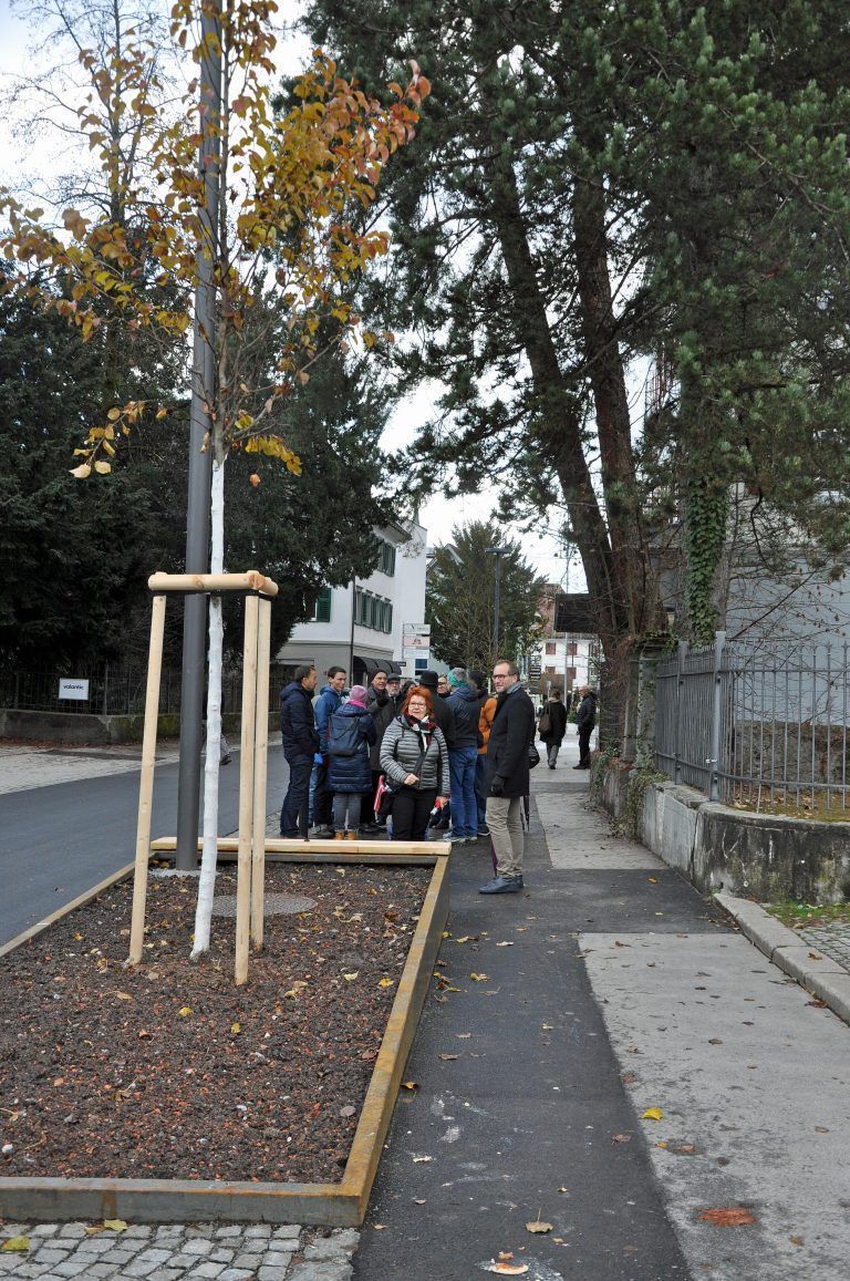 Erstmals wurde das das Prinzip der Schwammstadt angewendet, das den Stadtbäumen das Überleben sichern soll. - Eröffnung Marktstraße neu