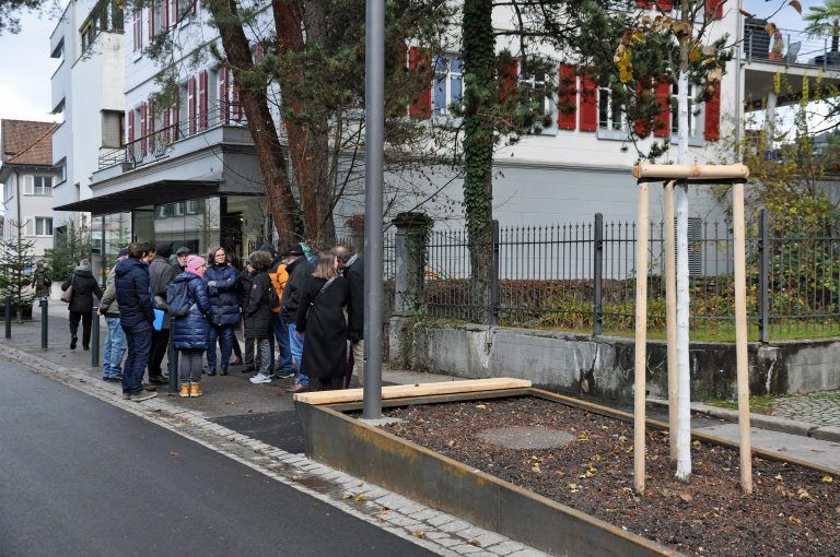 Insgesamt wurden 12 zusätzliche Bäume gepflanzt. - Eröffnung Marktstraße neu