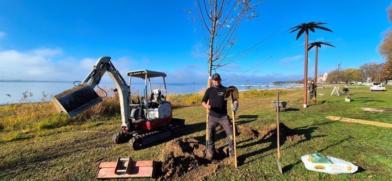 Baumpflanzungen auch im Lochauer Strandbad. - Nachhaltige Umweltaktion am Lochauer Bodenseeufer - Nachhaltige Umweltaktion am Lochauer Bodenseeufer