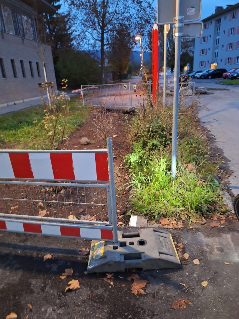 Bregenz sperrt Landesradroute mit Sträuchern ab: „Das ist eine Provokation“