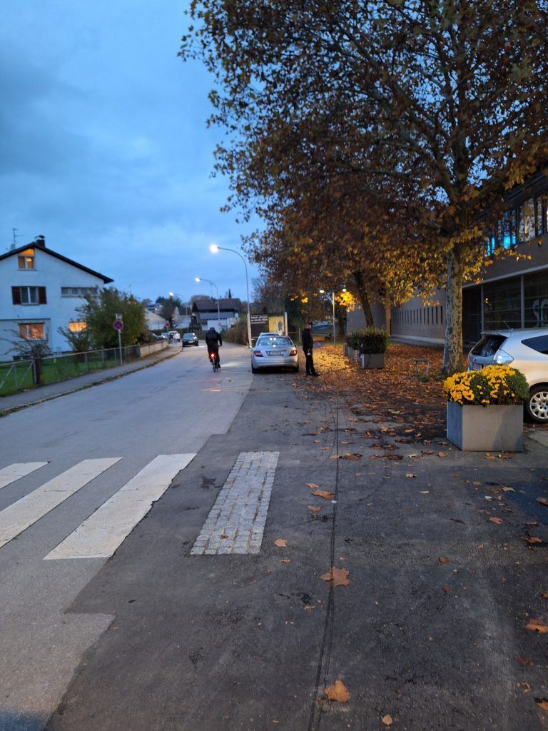 Bregenz sperrt Landesradroute mit Sträuchern ab: „Das ist eine Provokation“
