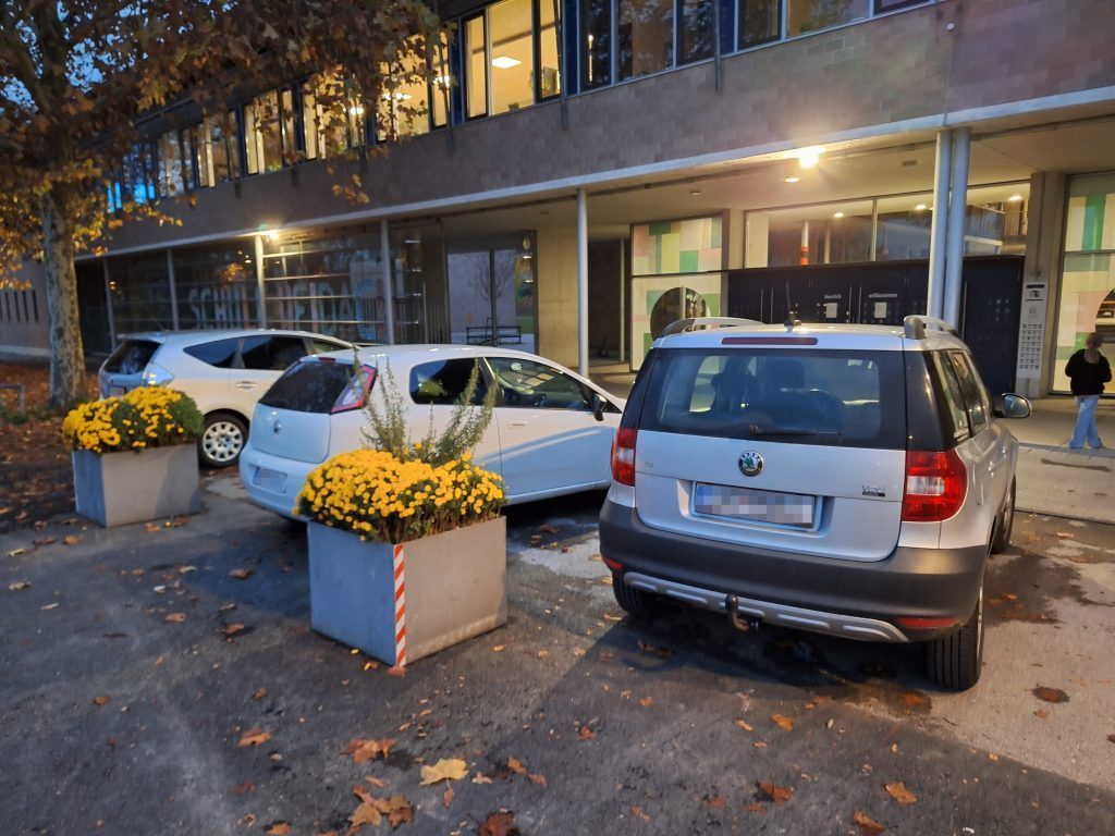 Bregenz sperrt Landesradroute mit Sträuchern ab: „Das ist eine Provokation“