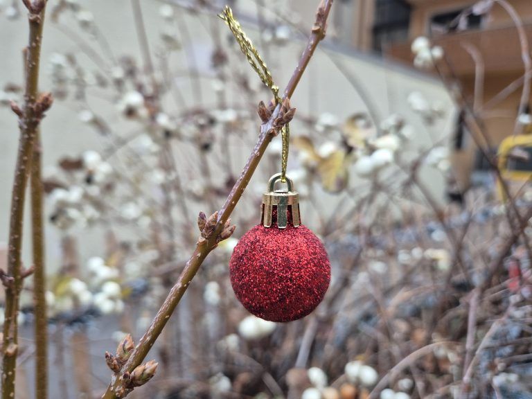 Weihnachtsgarten der SPÖ-Bludenz