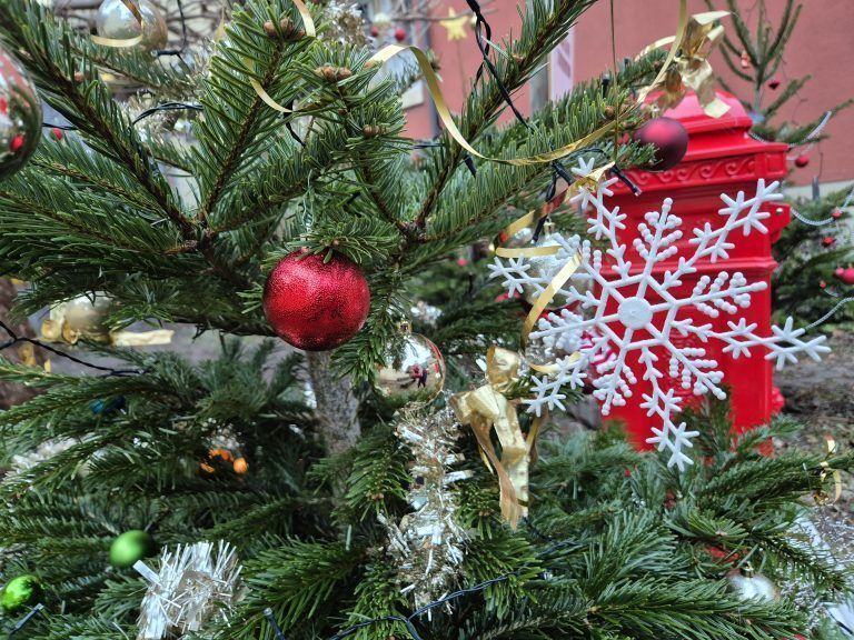 Weihnachtsgarten der SPÖ-Bludenz