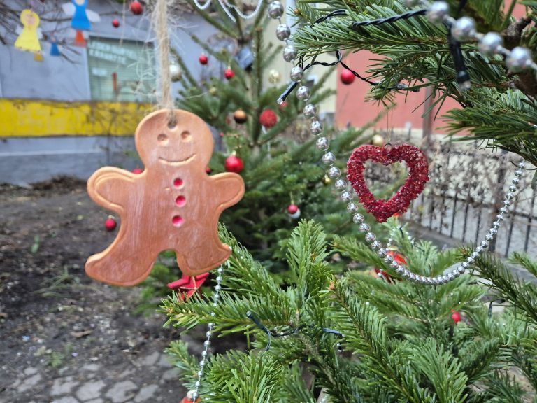 Weihnachtsgarten der SPÖ-Bludenz
