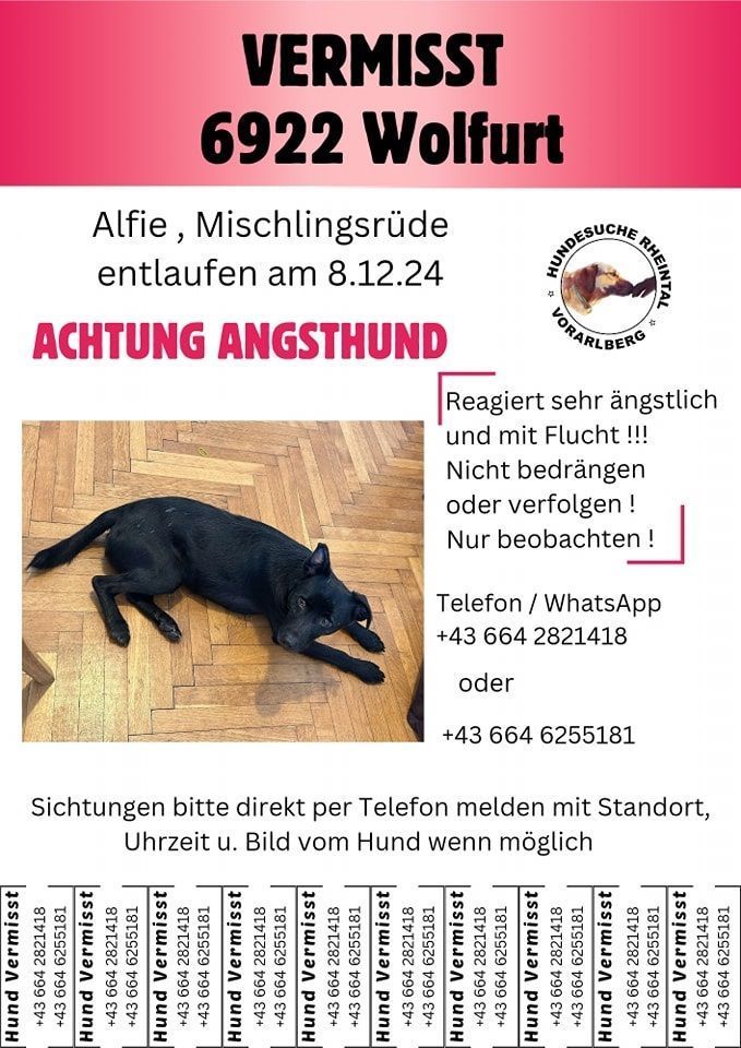 „Jeder, der einen Hund hat, sollte in seinem Vertrag nachschauen“