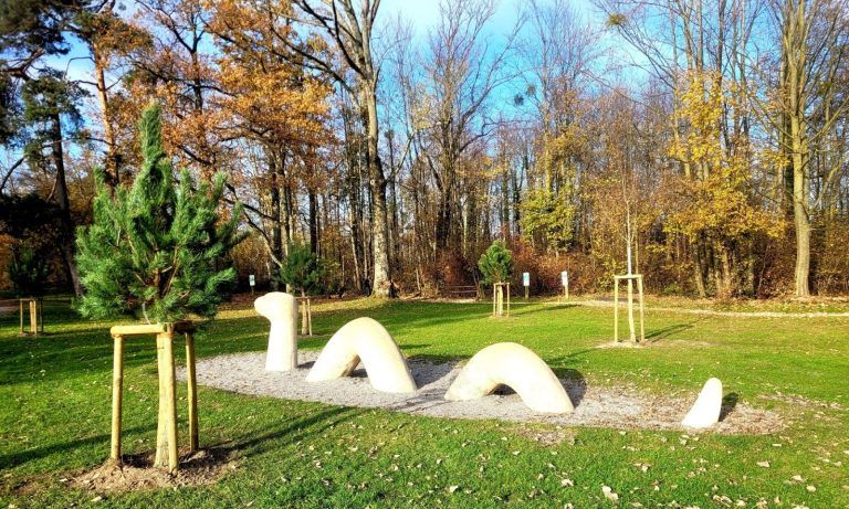 Rund 24 neue Bäume zieren im Zuge der Baumverjüngung den Lochauer Uferabschnitt, vom Schwarzbad über den Hafen und den Kaiserstrand bis hin zum Strandbad.