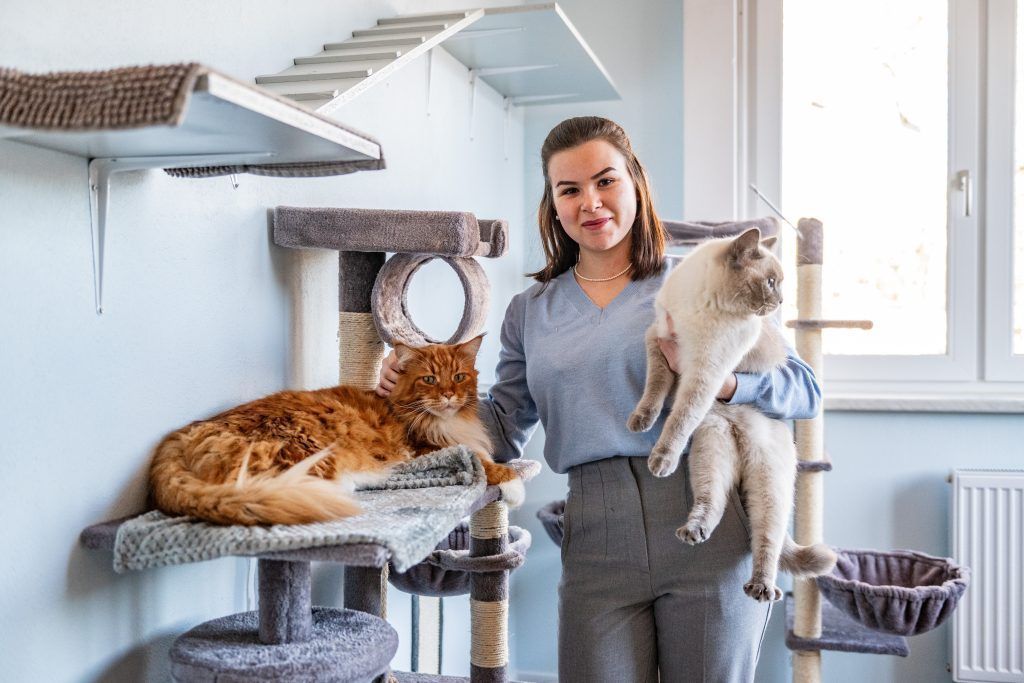 Glorias Katzenpension: Wo Kater Winnie und Co. Urlaub machen