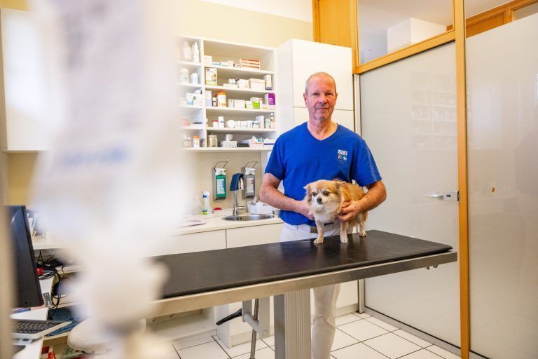 Tierklinik Fürst, Bregenz, Tipps für Tierbesitzer an Silvester