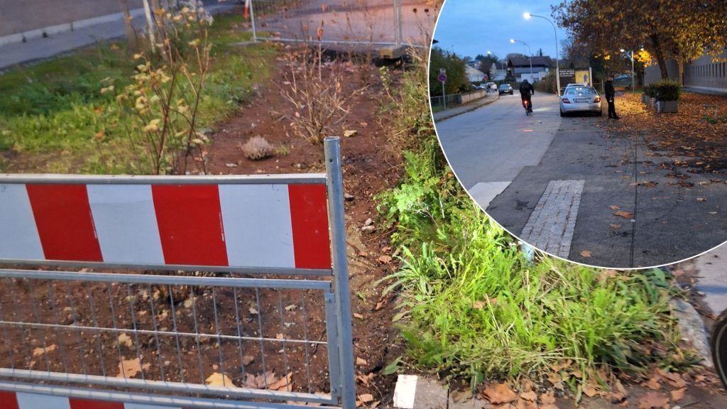 Bregenz sperrt Landesradroute mit Sträuchern ab: „Das ist eine Provokation“