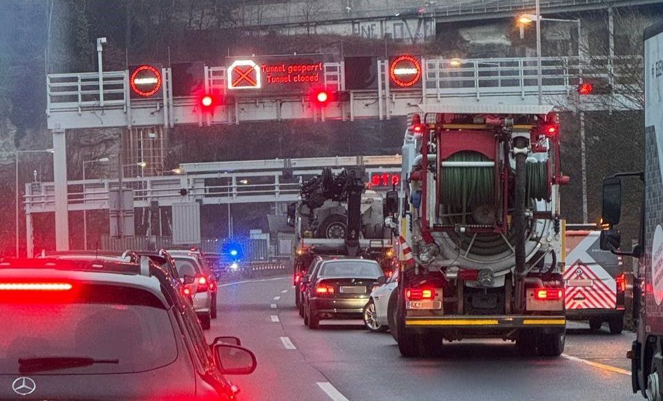 Hund legt Verkehr auf der Autobahn lahm