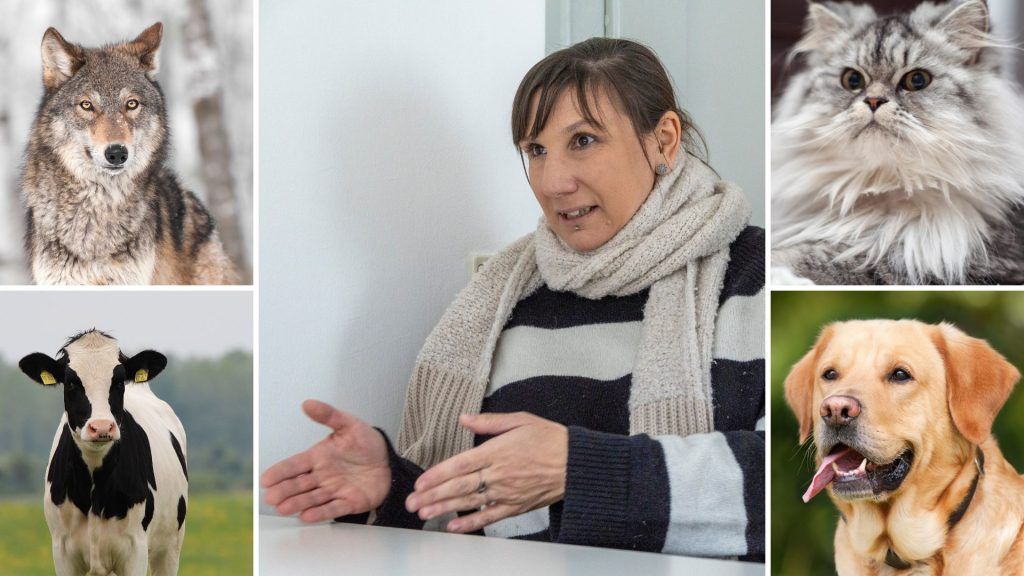 &#8220;Es können nicht im stillen Kämmerlein einfach Verbote beschlossen werden&#8221;