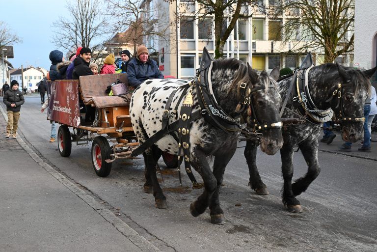 Weihnachtlicher Glanz am Kirchplatz: Eine Fahrt mit der Pferdekutsche durfte für viele nicht fehlen.