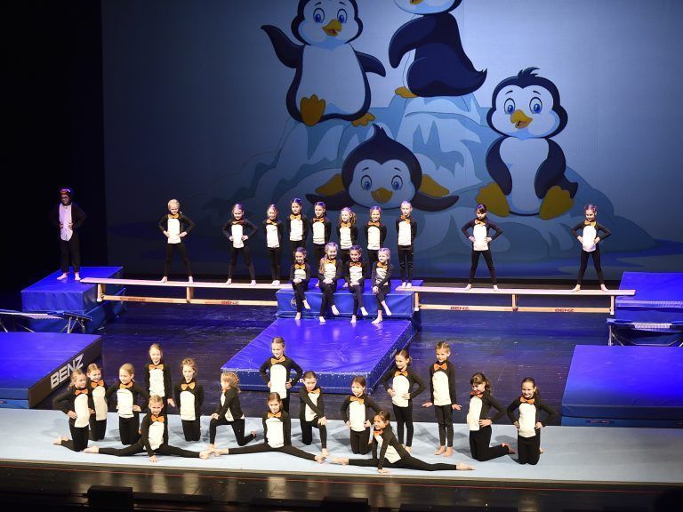 250 Turnerinnen und Turner zeigten bei der diesjährigen mitreißenden Weihnachtsshow ihr Können.