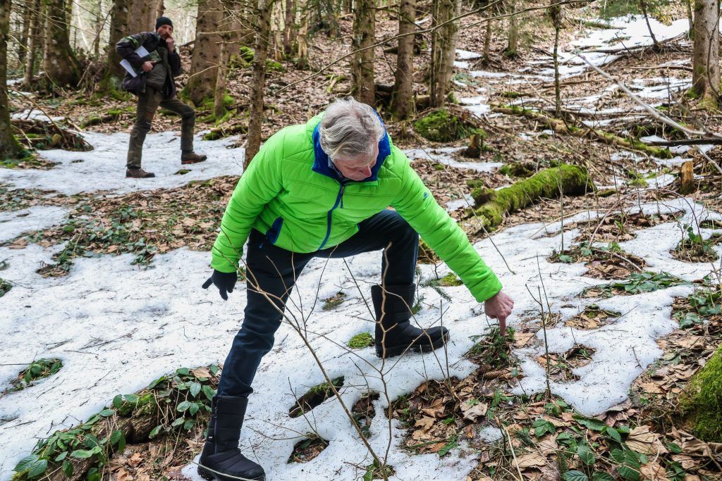&#8220;Es kann nicht sein, dass man ganze Bestände keult und beim Rotwild nichts tut&#8221;