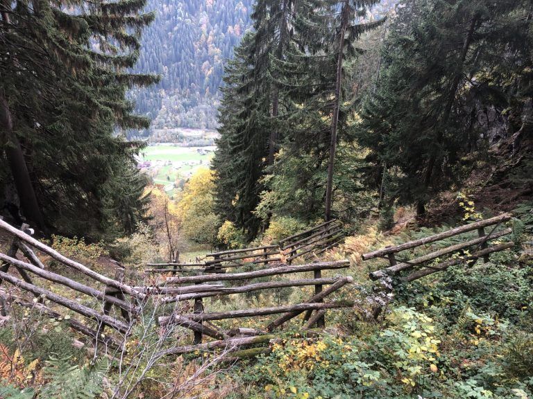 WLV fordert rasche Behebung von Jagdproblemen zur Förderung der natürlichen Waldverjüngung in Vorarlberg: Ein Exemplarisches Beispiel aus Tschagguns. Trotz Vebuaung und Pflege, kommen keine Pflanze auf. Der Zug ist großteils offen bis in den Talboden.