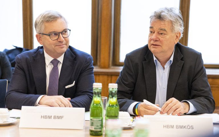 Werner Kogler: "Das ist fast so wie Stimmen fladern"