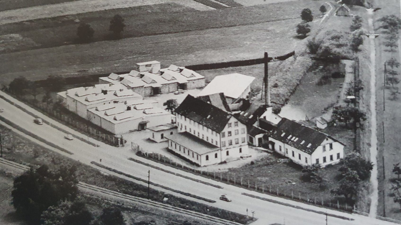 Fussenegger Wallenmahd