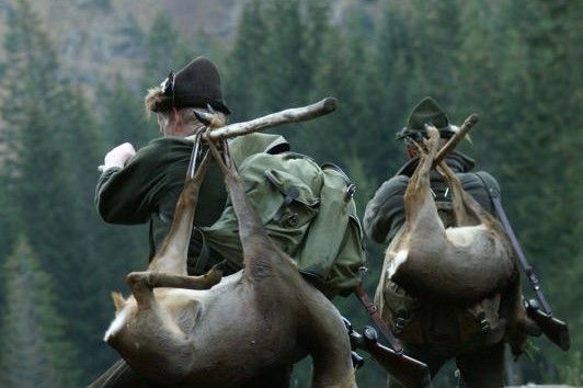 Vorarlbergs Jäger im Schussfeld von &#8220;Wildes Bayern&#8221;
