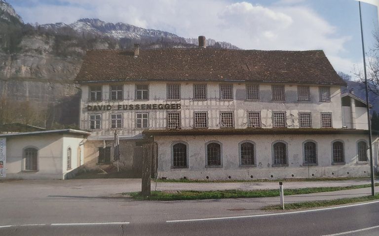 Fussenegger Wallenmahd