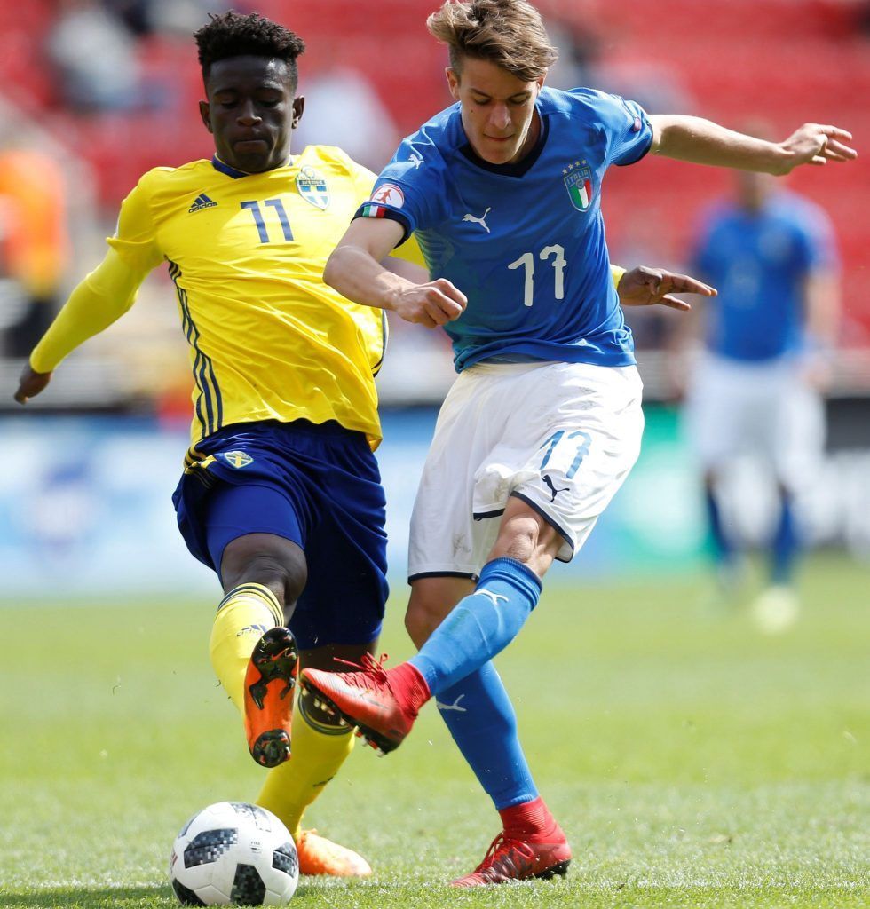 Schweden-Power für die Austria