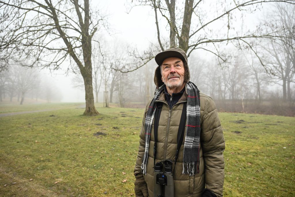 Den Singvögeln am Alten Rhein auf der Spur