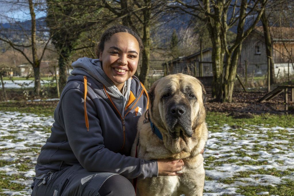 Warum verschenkte Tiere nach den Feiertagen oft im Heim enden