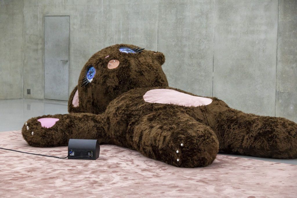 Zeitgenössische Kunst erobert Bregenz