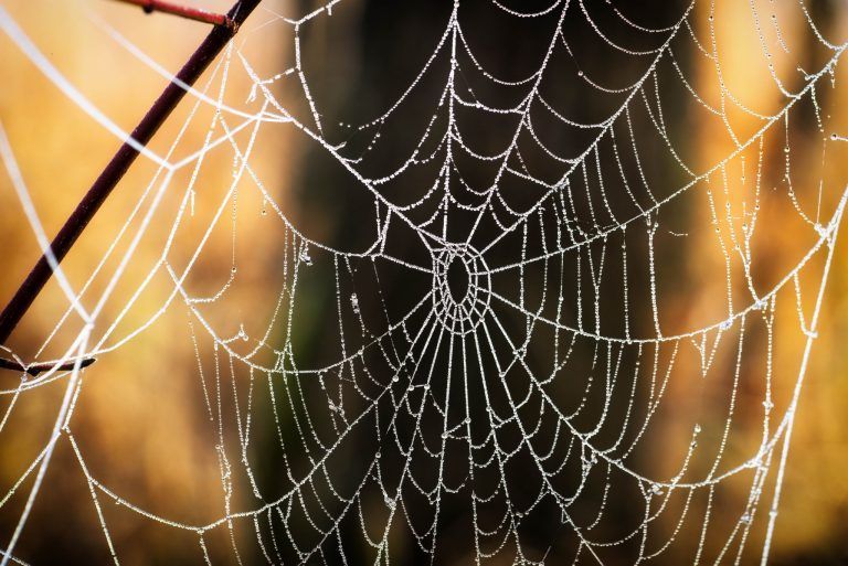 Ein Naturschauspiel sorgt für Verwunderung
