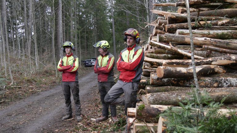Wald, Aufforstung, Mischwald, Agrargemeinschaft Nenzing