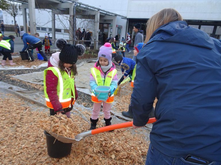 Alle waren so eifrig bei der Sache, dass die Challenge in kürzester Zeit beendet war. - Mit Kübel und Schubkarre zum Weltrekord - Die Volksschule Rohrbach lud zur großen Hackschnitzel-Challenge.