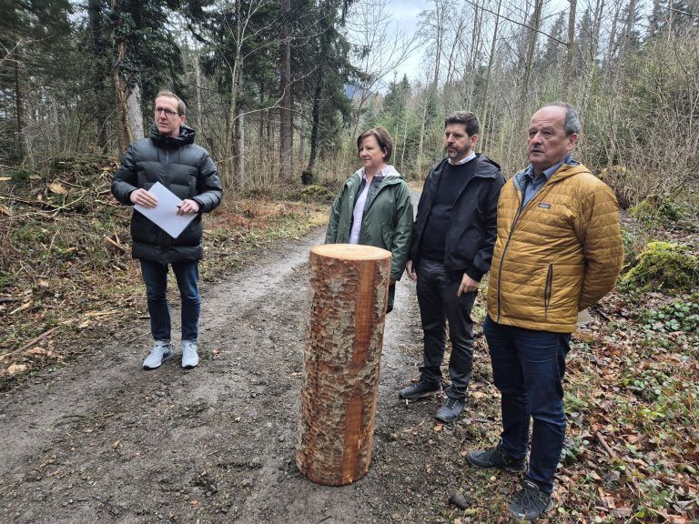 Agrargemeinschaft Nenzing, Vorarlberger Agrargemeinschaften, Wald