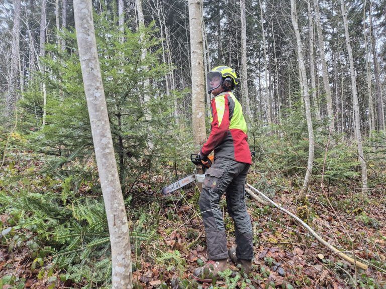 Agrargemeinschaft Nenzing, Vorarlberger Agrargemeinschaften, Wald