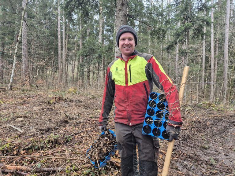 Agrargemeinschaft Nenzing, Vorarlberger Agrargemeinschaften, Wald
