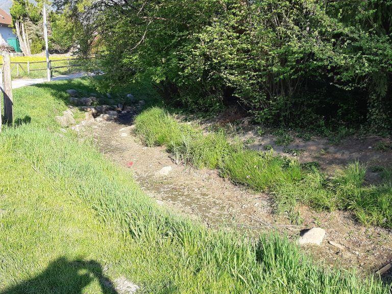Neues Wasserbauprojekt „Am Rohr“ erfolgreich abgeschlossen: 2021 war der Moosbach komplett ausgetrocknet. (Quelle: Umweltamt)