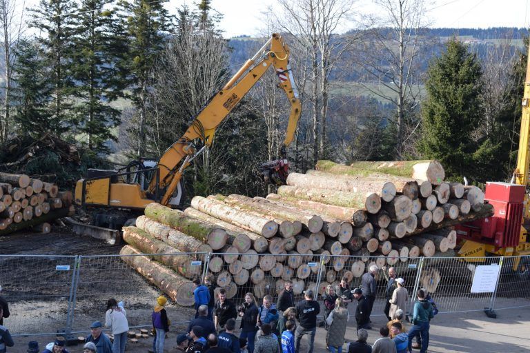 Innovative Holznutzung präsentiert: Mittels Seilkran wird das Holz zum Sammelplatz geliefert.