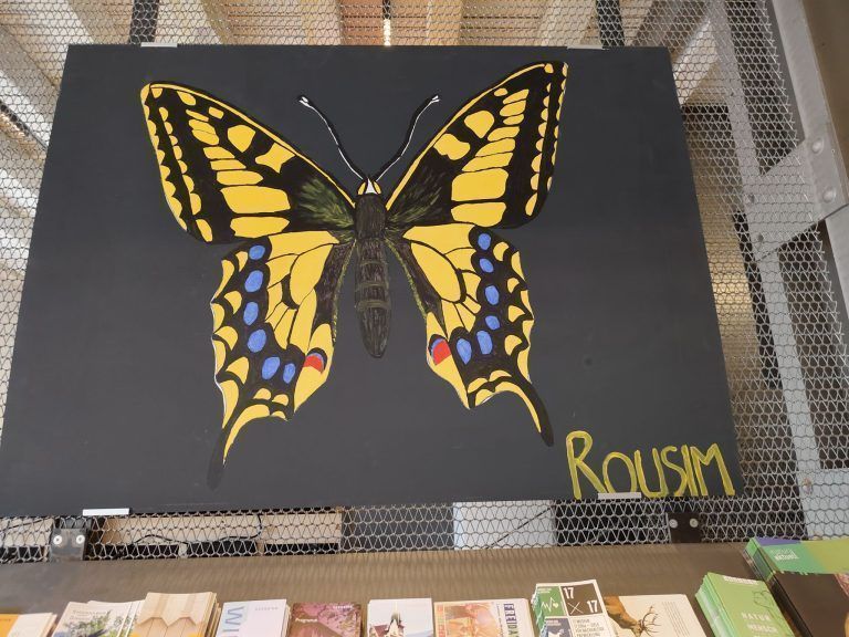 Schüler setzen Insekten in Szene: Bunte Vielfalt - dieser schöne Schmetterling wurde von Rousim gestaltet.