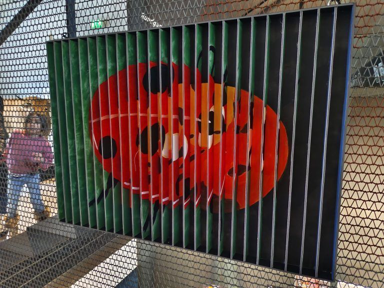 Schüler setzen Insekten in Szene: Aus jeder Perspektive ein anderes Bild - hier ist der voll entwickelte Marienkäfer zu sehen.