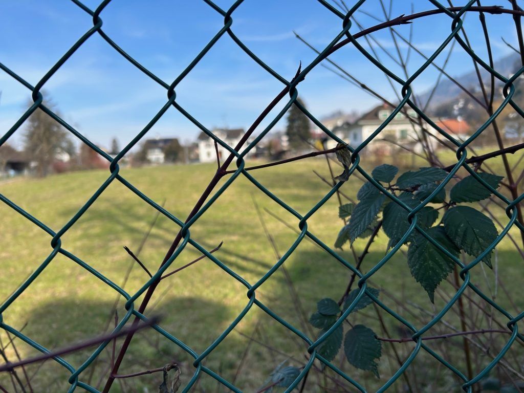 Paukenschlag in Dornbirner Grundstücks-Causa: Stadt sucht nach Ausstiegsoptionen