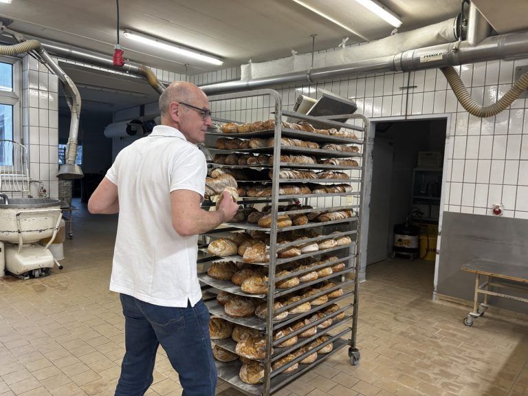 Mehlwurmpulver im Brot: "Das kommt für uns nicht infrage."